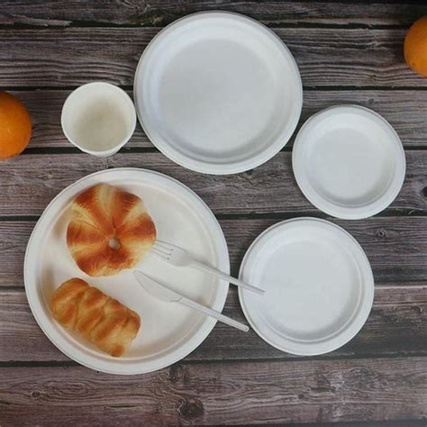 China Customized Best Biodegradable Paper Plates Suppliers, Factory - Wholesale Price - WANLIFU