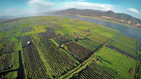 Aerial photo of floating gardens on Inle Lake Photograph by Mikhail ...