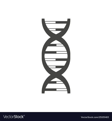 Dna helix logo design isolated on white Royalty Free Vector