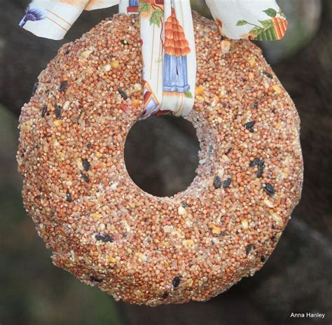 Bird Seed Wreath | Hometalk