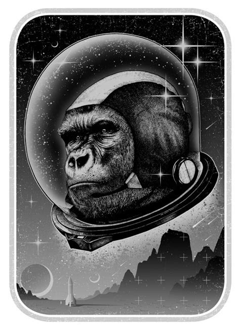 Designer of the week: Paul Jackson | Space art, Monkey art, Art