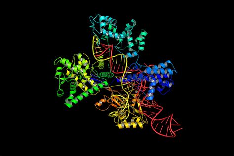 CRISPR gene editing technique is probably safe, study confirms | New ...