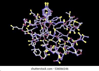 1,082 Insulin molecular Images, Stock Photos & Vectors | Shutterstock