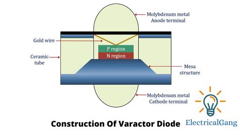 What is a Varactor Diode? | The Definitive Guide