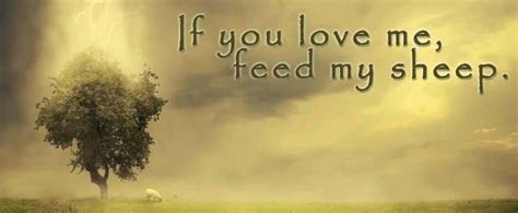 Pin by Fumc Children Nacogdoches on Feed My Sheep | Feed my sheep, Jesus heals, The good shepherd