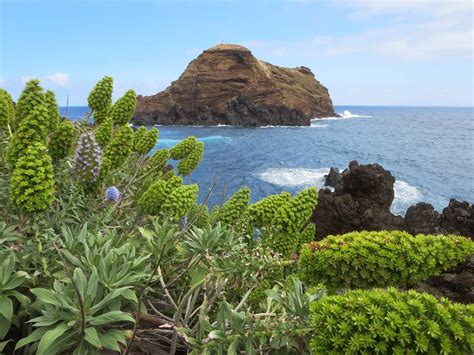 Mole Island | Mole Island lies off Madeira's northwest coast… | Flickr