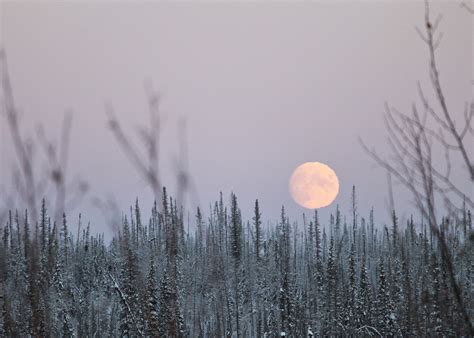 Moonrise & Moonset Times: When Does the Moon Rise Tonight? | The Old Farmer's Almanac