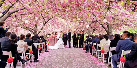 Brooklyn Botanic Garden New York Weddings