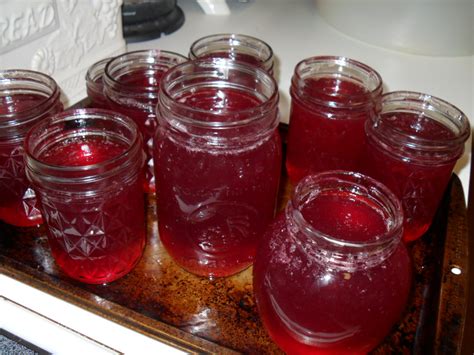 Cottage Creative Living by Egretta Wells: Making Muscadine grape jelly