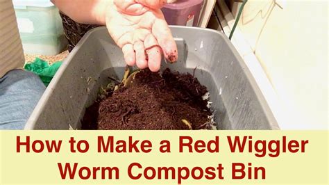 Worm compost bin ~ Tbib Ideas