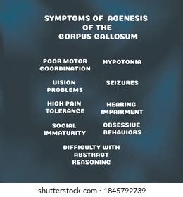 Symptoms Agenesis Corpus Callosum Vector Illustration Stock Vector (Royalty Free) 1845792739 ...