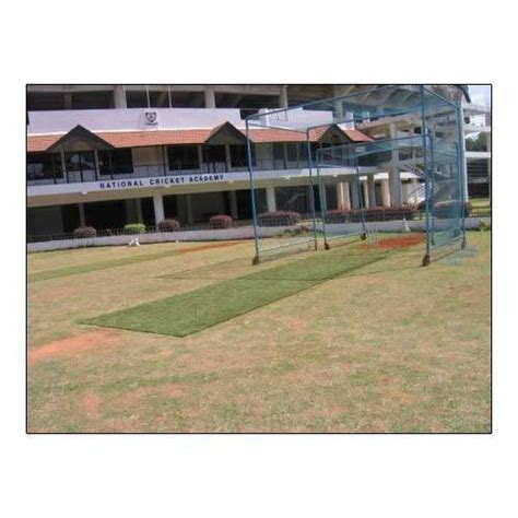 Cricket Pitch Artificial Grass at Best Price in Hyderabad | Great ...