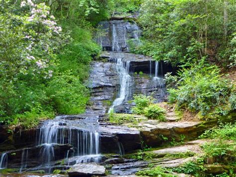 Deep Creek Great Smoky Mountains National Park | HeySmokies