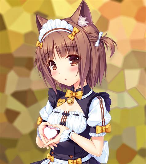 Azuki Nekopara Wallpapers - Wallpaper Cave