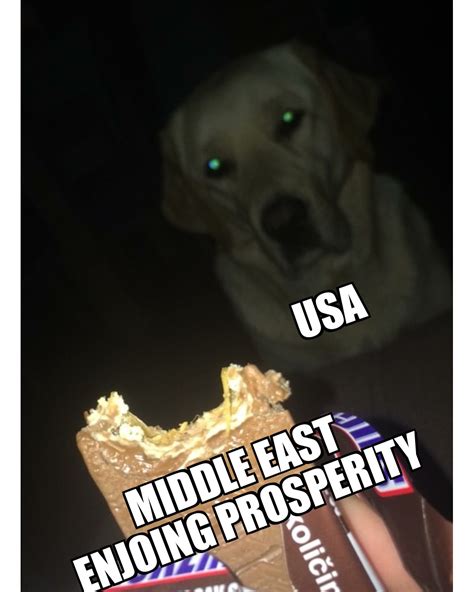 Ps my friends dog super cute super fat meme format also : r/HistoryMemes