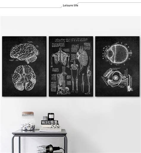 Human Anatomy Artwork Medical Print Wall Picture Skeleton Organ Muscle Retro Black White Poster ...