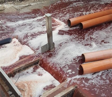 Stream runs red with blood as abattoir waste conjures up biblical plague | The Times of Israel