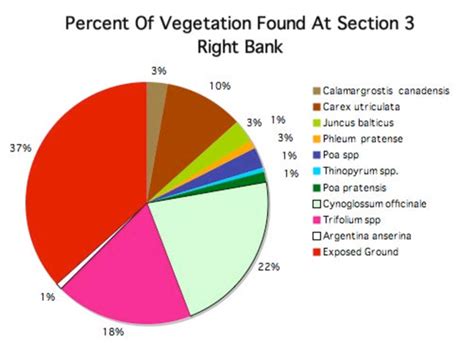 Right bank Site 3 | Download Scientific Diagram