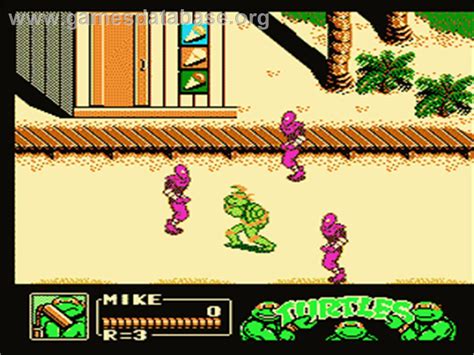 Teenage Mutant Ninja Turtles 3: The Manhattan Project - Nintendo NES ...