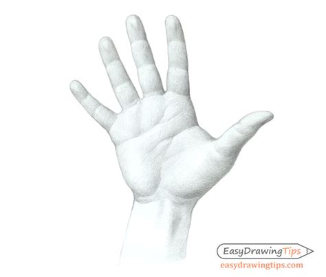 How to Draw a Hand Step by Step Tutorial - EasyDrawingTips