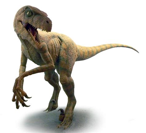 Velociraptor Pictures & Facts - The Dinosaur Database