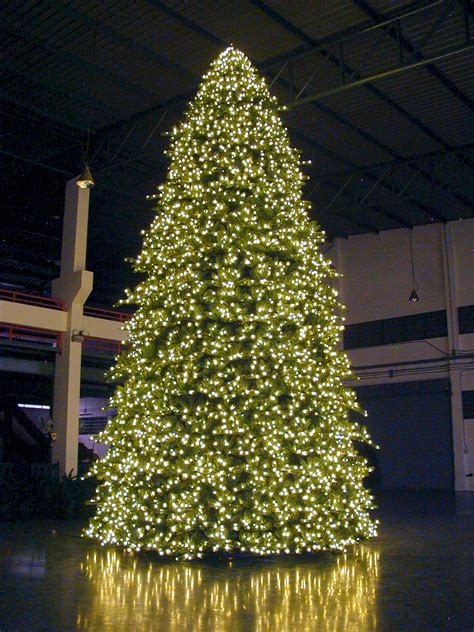 Christmas Tree Outdoor lit - Artificial Xmas Tree Warehouse