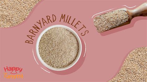 Barnyard Millets- Nutrition, Uses, Health Benefits, and More - Happytummy
