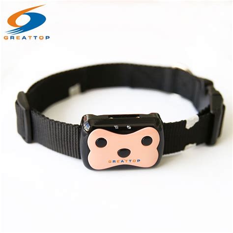 Best Cat Gps Tracker Collar - CETDM