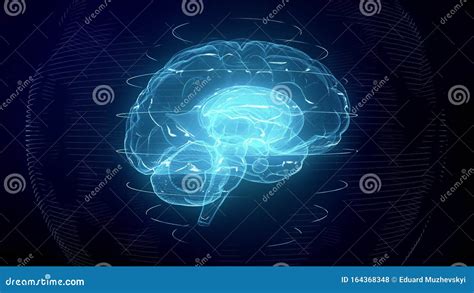 Futuristic Blue Digital Brain. Neurons Firing in MRI Scan Stock ...