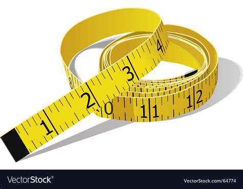 Tape measure Royalty Free Vector Image - VectorStock