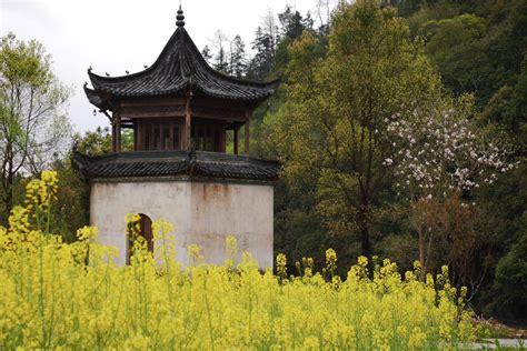 Wuyuan: On the flower trail | Big On Trips