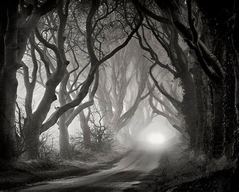 The Dark Hedges | Landscape photography trees, Black and white landscape, Dark hedges