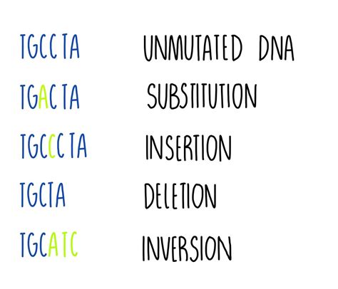 Genetic Mutation Types