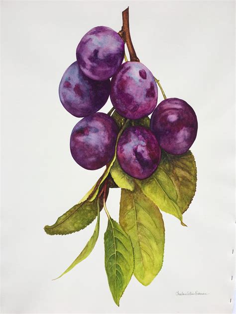 September — Charlene Collins Freeman Art | Food art painting, Fruit art ...