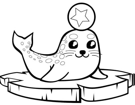 Pequeña Foca para colorear, imprimir e dibujar –ColoringOnly.Com