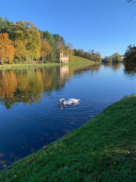 Painshill Park - Surrey Lieutenancy