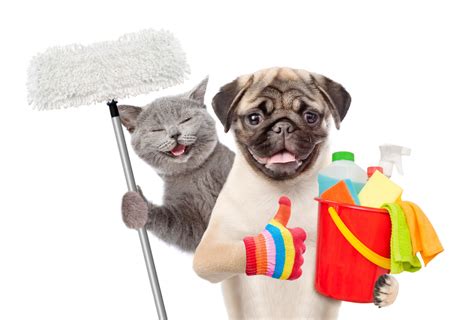 Pet-Safe Home Cleaning Products- The Shot Spot - Dallas, TX