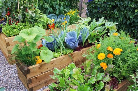 How to Make an Urban Vegetable Garden | City Vegetable Garden