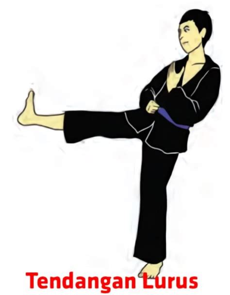 Pencak Silat Techniques for Android - Download