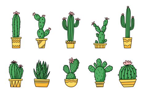 Set cute cartoon cactus and succulents in pots. Isolated vector ...