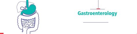 Explained Gastroenterology Tests and Gastro Disorders
