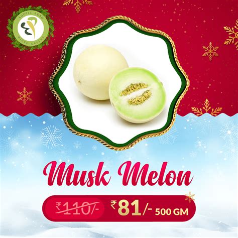 Musk Melon - Farm Fresh Products | Food Products Supplier | Supple Agro