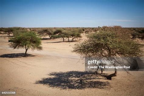 Mali Timbuktu Photos and Premium High Res Pictures - Getty Images