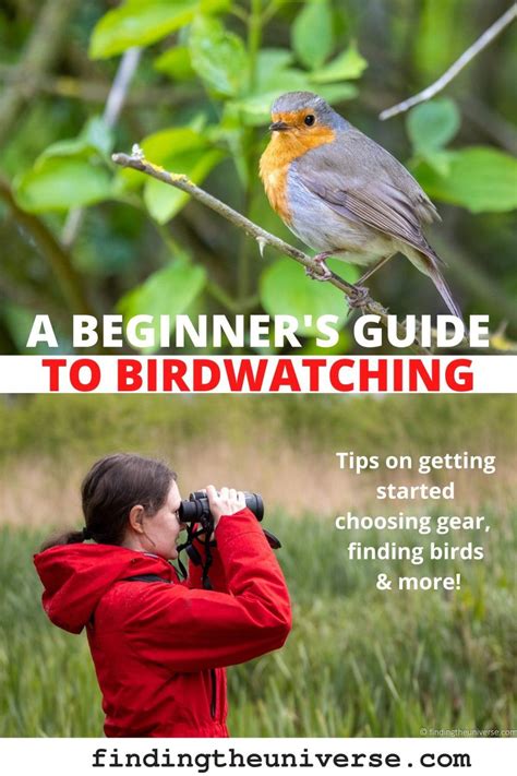 A Beginner's Guide to Birdwatching - Finding the Universe