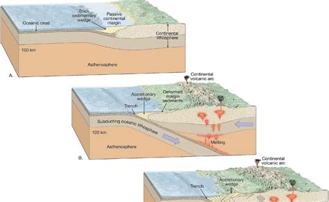 The Running Scientist: Ocean- Continental Convergent Boundary