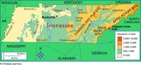 Tennessee Elevation Map | Chickamauga, Elevation map, Clingmans dome