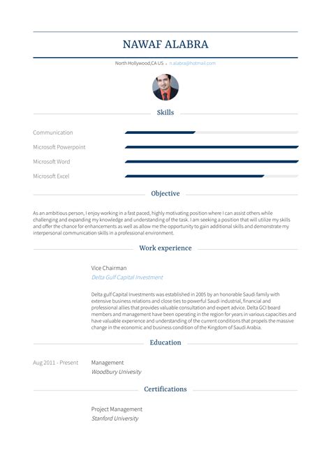 Vice Chairman - Resume Samples and Templates | VisualCV