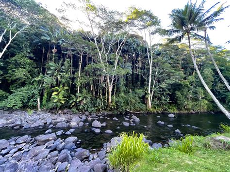 Hamakua Coast and Botanical Gardens - Volcano Ohana