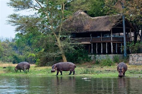 ムヴー ウィルダネス ロッジ (Mvuu Lodge Malawi) -リウォンデ 国立公園-【 口コミ・宿泊予約 】- トリップアドバイザー