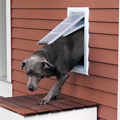 Endura Flap Pet Door for Walls | Shop Extreme Weather Dog Doors